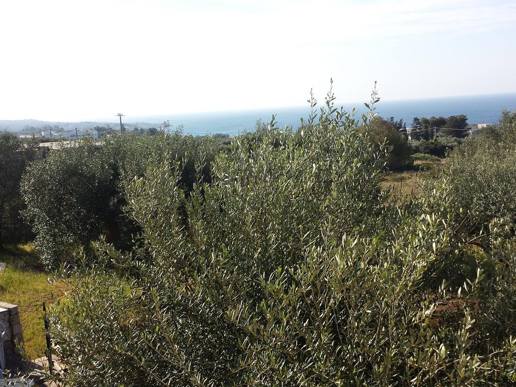 Villa Minteco Patù Eksteriør billede