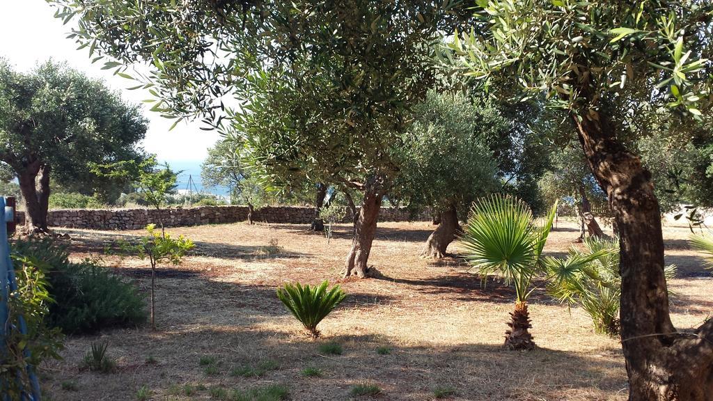 Villa Minteco Patù Eksteriør billede