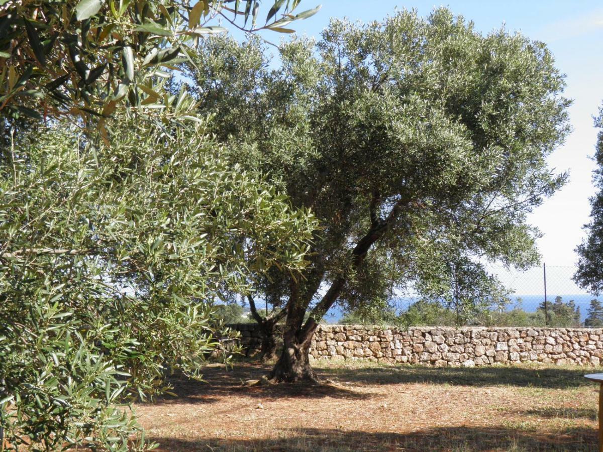 Villa Minteco Patù Eksteriør billede